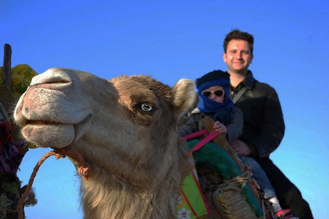 3 hours ride on camel at sunset - The Tea and Picnic Break: More Than a Snack Stop