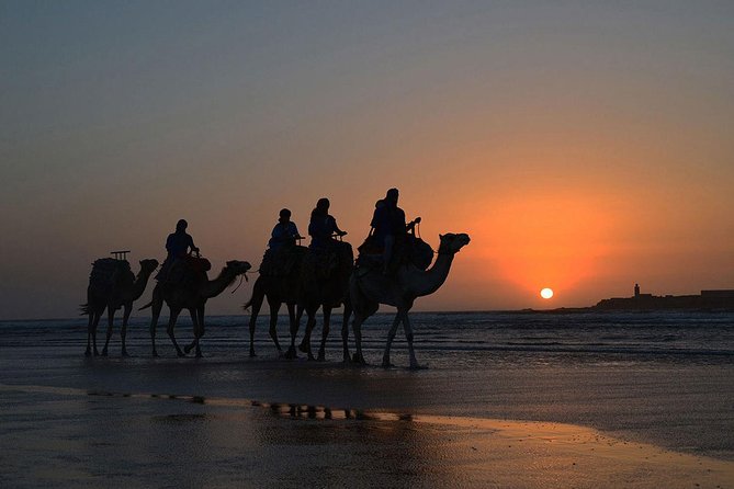 3 hours ride on camel at sunset - Who Should Book This (and Who Might Skip It)