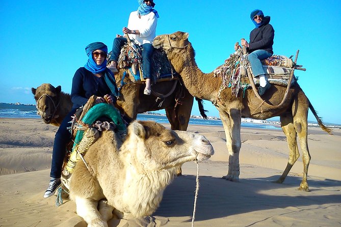 3 hours ride on camel at sunset - The 3-Hour Flow: Beach, Eucalyptus Forest, Diabat, and Old Ruins