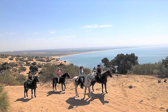 3 hours ride + picnic - Key highlights before you book