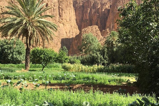 3 Valleys Excursion From Marrakech - Ourika Valley from Marrakech: Berber communities and mountain calm