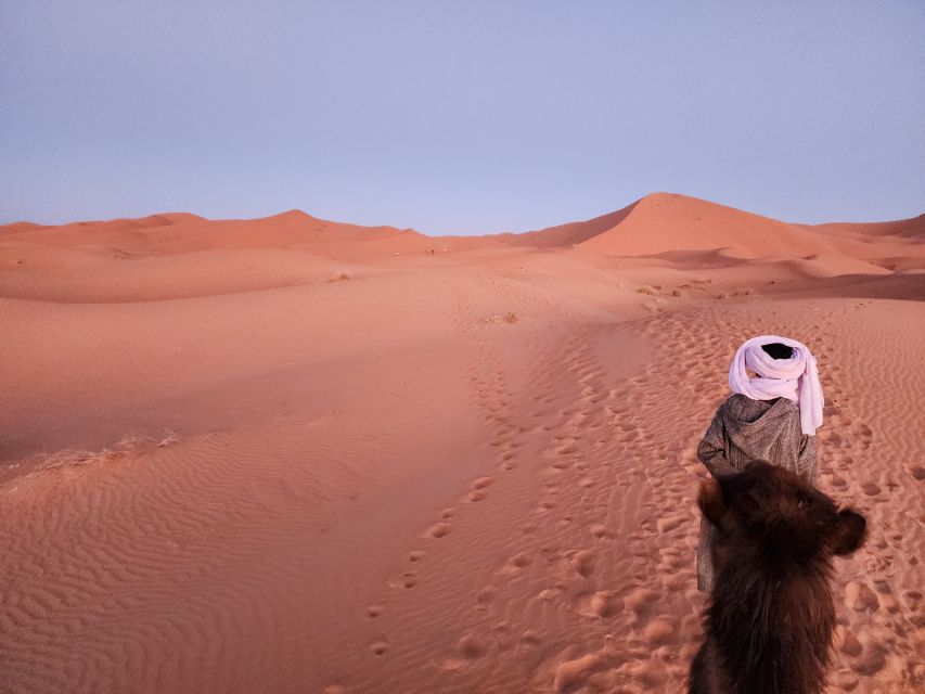 3D Deluxe Experience: Marrakech to Merzouga w/ Quad Option - Dades Valley and Todra Gorge: the walking day that adds texture