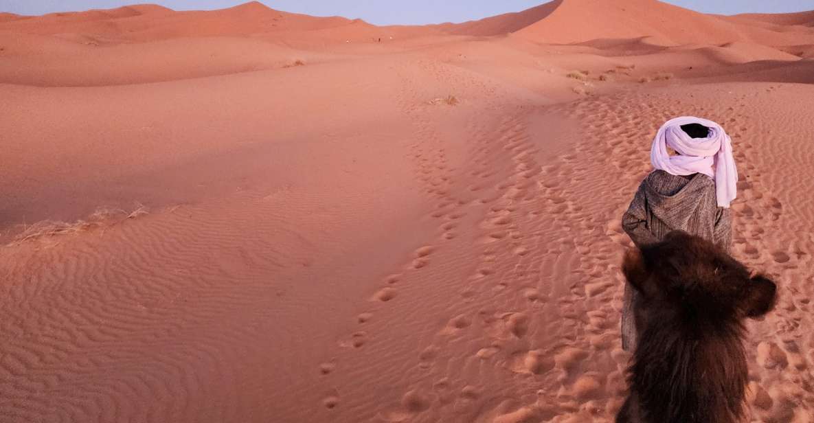 3D Deluxe Experience: Marrakech to Merzouga w/ Quad Option - Erg Chebbi at sunset: the camel ride part you’ll talk about later