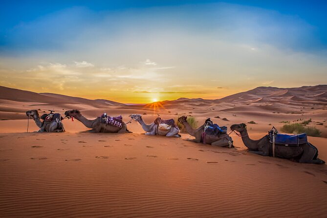 3Days 2Nights Moroccan Desert Expedition From Fes to Marrakech - Key Highlights Worth Planning For