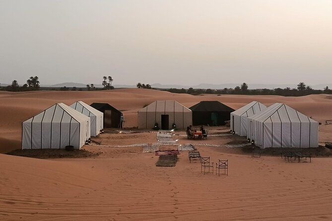 3Days 2Nights Moroccan Desert Expedition From Fes to Marrakech - The Cedar Forest to Merzouga: Why Day 1 Feels Like More Than Transit