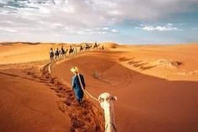 3Days 2Nights Moroccan Desert Expedition From Fes to Marrakech - What to Watch For: Long Drives and Early Starts