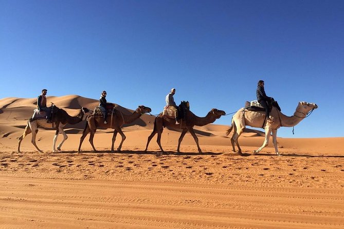 3days -Morocco Désert Tours Start in Fez and end in Marrakech - Erg Chebbi dunes: camel ride, sunset timing, and the camp night