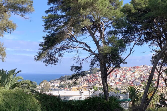 3h Private Walking Tour in Tangier Kasbah Medina & Colorful Souks - Tangier Casbah and Dar el Makhzen: the view + the story