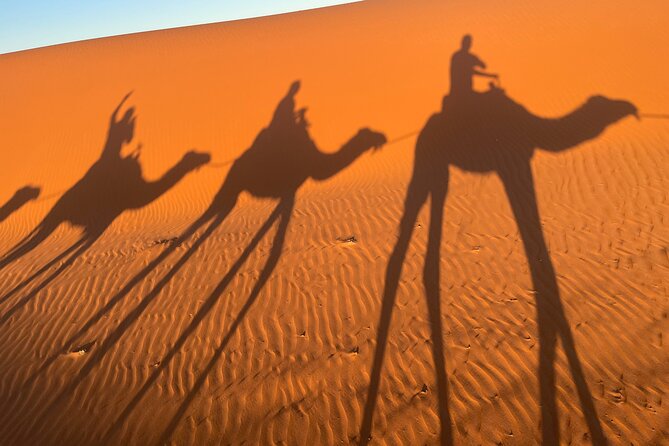 4-Day, 3-Night Marrakech to Marrakech Desert tour - Price and Value: Is $464.41 per person fair for this route?