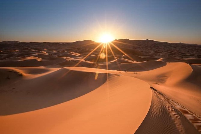 4 Day Desert Tour from Marrakech to Fes via Merzouga Sahara (Erg Chebbi) - Day 2: Todra and palm groves, then Erfoud marble and the Merzouga sunset