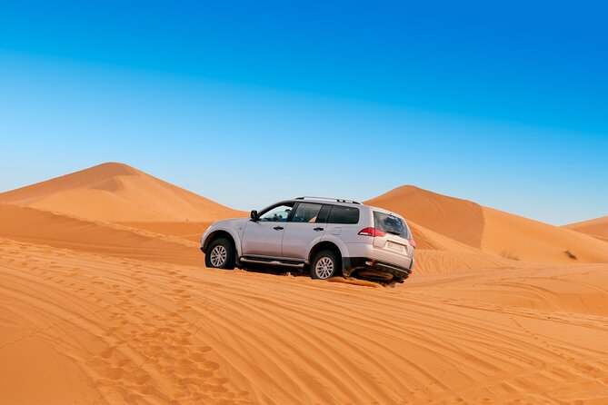 4 Day Desert tour from Marrakech to Fez - Day 4: Return Drive to Fez via Rissani, Ziz Valley, Azrou Cedar Forest, and Ifran