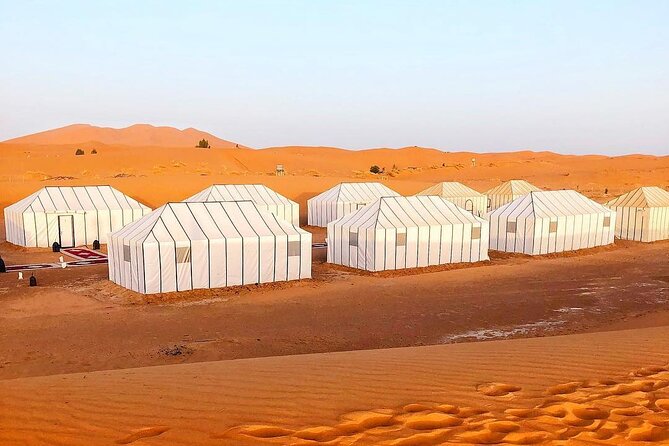 4 Day Desert tour from Marrakech to Fez - Price and Value: What You’re Paying For at About $116.62