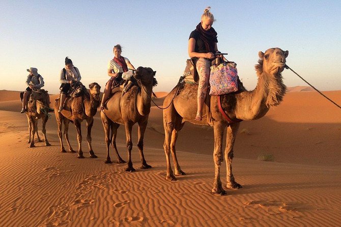 4-Day Desert Tour with 2-nights Glamping Experience: the Best for desert lovers - FAQ