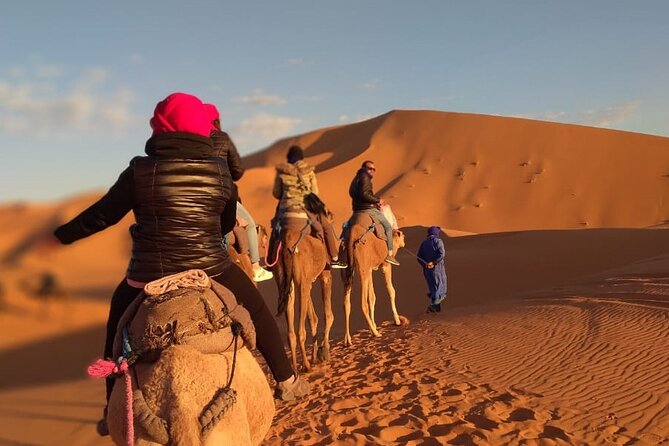 4-Day Guided Desert Tour from Marrakech - The return day: Todgha Gorge, Dades Valley, and the UNESCO finale