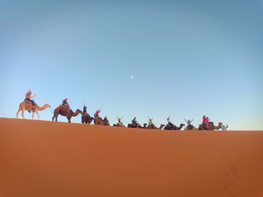 4-Day Marrakech to Merzouga Sahara Adventure & Camel Trek - Dades Valley to Todra Gorges: canyon scale plus palm-shade breaks