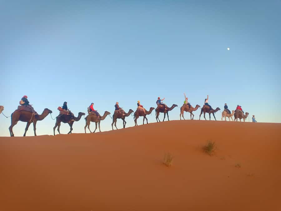 4-Day Marrakech to Merzouga Sahara Adventure & Camel Trek - Monkey Fingers in the Dades return: fun walking without a grind