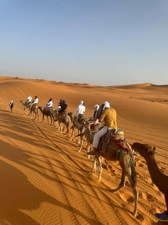 4-Day Marrakech to Merzouga Sahara Adventure & Camel Trek - Tizi n Tichka Pass: the 2260m viewpoint stop you’ll keep chasing
