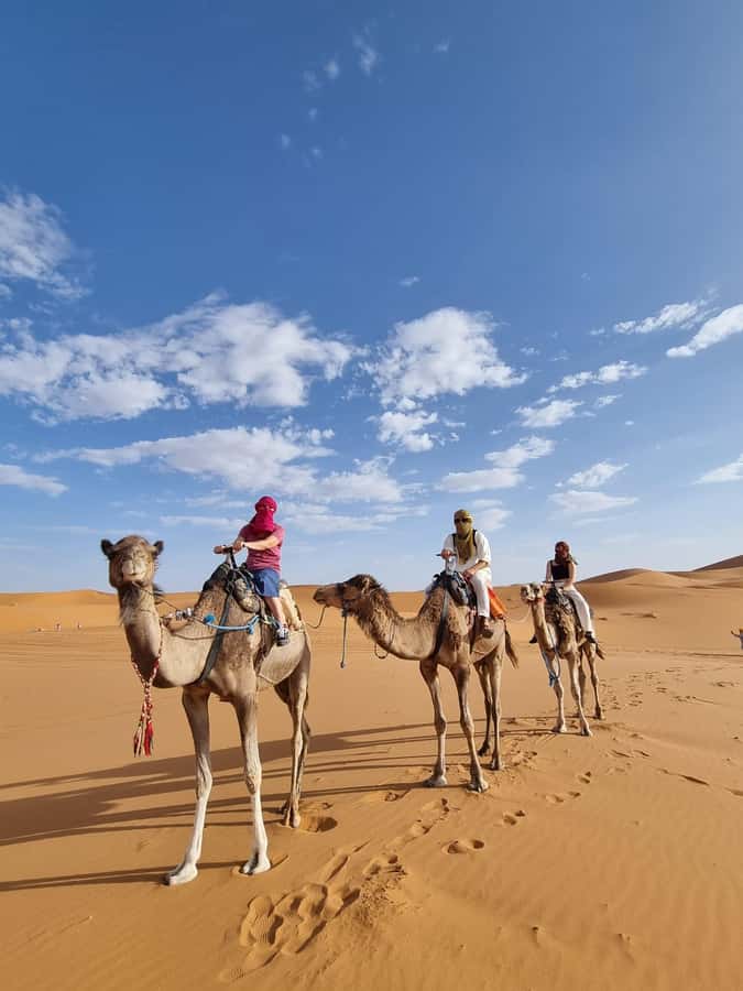 4-Day Marrakech To Sahara Desert Atlas & Monkey Fingers Trek - Day 2: Todgha Gorge to Merzouga, then camel trek into Erg Chebbi