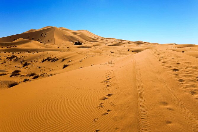 4 Day Merzouga Desert Trip from Marrakech - Nomadic-style tents under the stars: what the night actually feels like