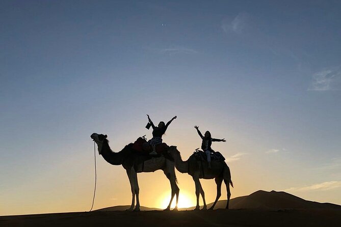 4 Day Morocco Desert Tour from Marrakech to Fes - Price and Value: Is $701.52 per Person Fair for What You Get?