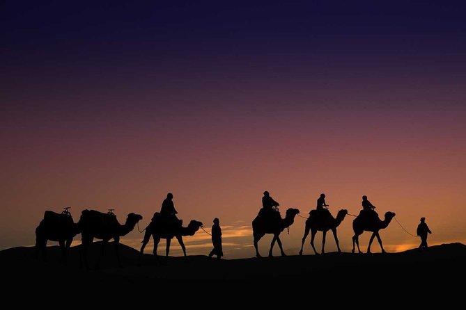 4-day Private Desert Tour Fes to Marrakech with Transfers - Tips to Make This Desert Circuit Feel Easy