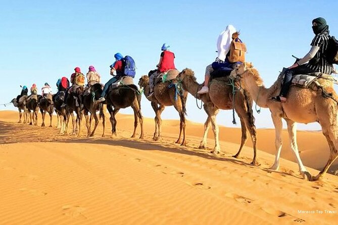 4-Day Private Desert Tour Fez to Marrakech - Fez departure at 8:00 and the Atlas-to-desert pace