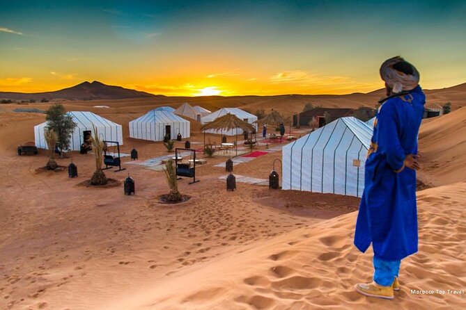 4-Day Private Desert Tour Fez to Marrakech - Ifrane, cedar forests, and the small-town stops that actually matter