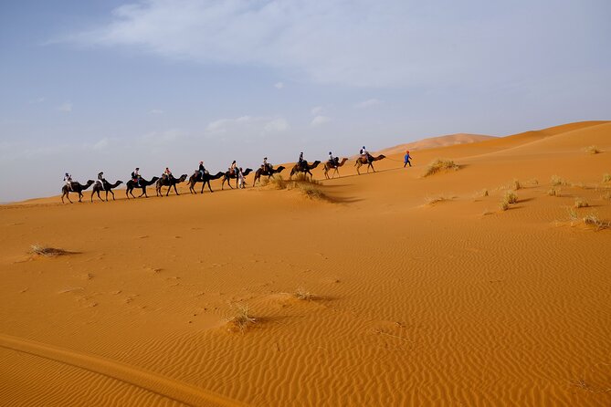 4-Day Private Desert Tour from Marrakech to Erg Chigaga - Day 2: Tamgrout Library + Pottery Kasbah, M’Hamid Lunch, and Erg Chigaga Silence