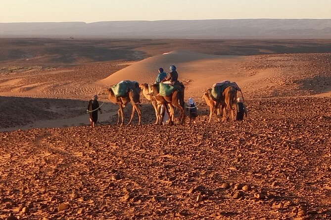 4 Day Private Desert Trek from M'Hamid to Chegaga - Key Points Before You Go