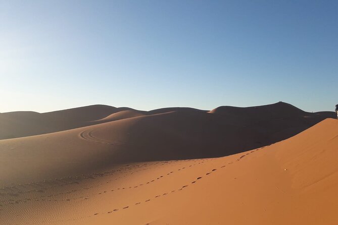 4 Day Private Desert Trek from M'Hamid to Chegaga - The Team Factor: Why Guides Shape the Desert Experience