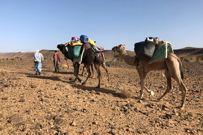4 Day Private Desert Trek from M'Hamid to Chegaga - Meeting at 9:00: The Morning Routine That Sets the Tone