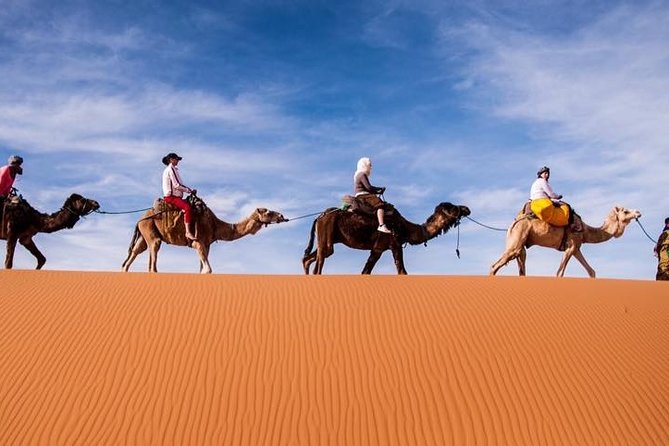 4-Day Private Merzouga Desert Tour From Marrakech - Day 4: Ouarzazate, Kasbah Telouet, and the final run back to Marrakech