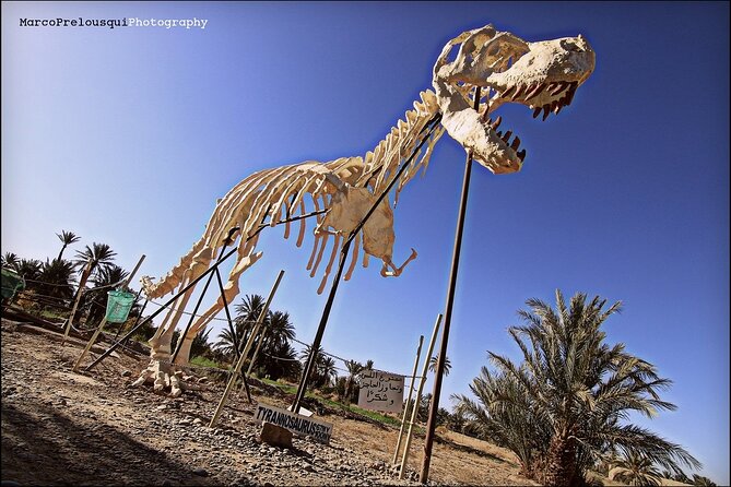 4 Day Private Tour from Fes to Merzouga Desert And Marrakech - Who should book this private route, and who should skip it