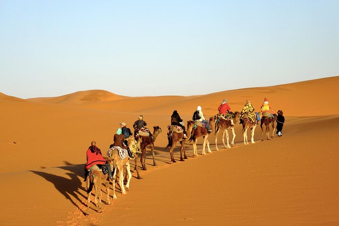4-Day Sahara Desert Tour to Zagora and Merzouga from Marrakech - Marrakech Pickup to High Atlas Pass: Day 1’s Big Move