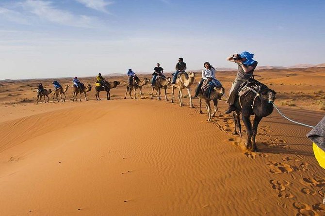 4-Day Sahara Desert Tour to Zagora and Merzouga from Marrakech - Day 4: Valley of Roses, Oasis of Skoura, and Back to Marrakech