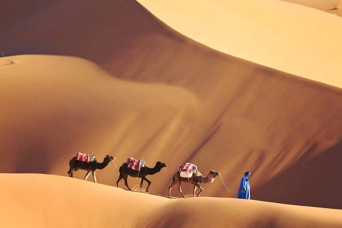 4 Day Sahara Desert Trip From Marrakech: Marrakesh - Sahara Desert - Marrakesh - A night in the dunes: what the camp setup actually gives you