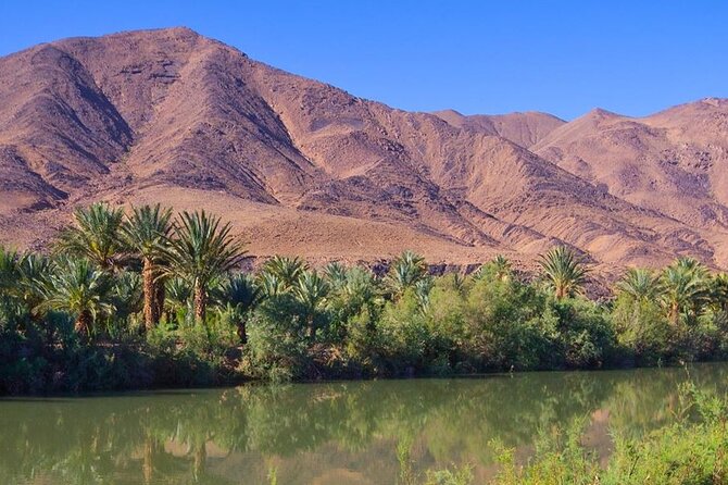 4 Day Sahara Desert Trip From Marrakech: Marrakesh - Sahara Desert - Marrakesh - Day 4: Rose petals in Kelaa M’Gouna, Skoura palms, and back over Tizi n Tichka to Marrakech