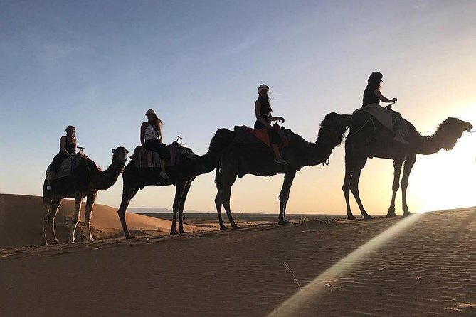 4 Days 3 Nights Private Desert Tour From Fes To Marrakech By Historical Kasbahs - Erg Chebbi camel ride and the nomad-style camp night