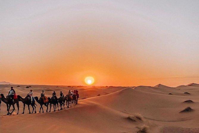 4 Days 3 Nights Private Desert Tour From Fes To Marrakech By Historical Kasbahs - Rose towns, Skoura palms, and Ait Benhaddou’s big entrance