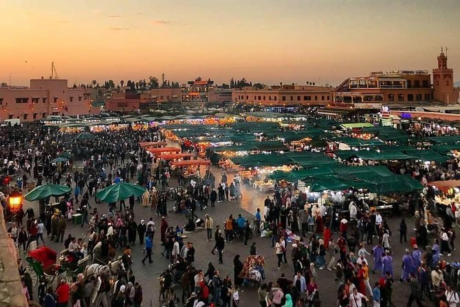 4 Days 3 Nights Private Desert Tour From Fes To Marrakech By Historical Kasbahs - Ifrane and the cedar forest: tidy streets, big tree energy