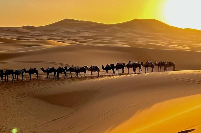 4 Days Desert Tour From Marrakech to Fes via Merzouga Dunes - Day 1: Tizi n Tichka, Ait Benhaddou, then Tinghir comfort