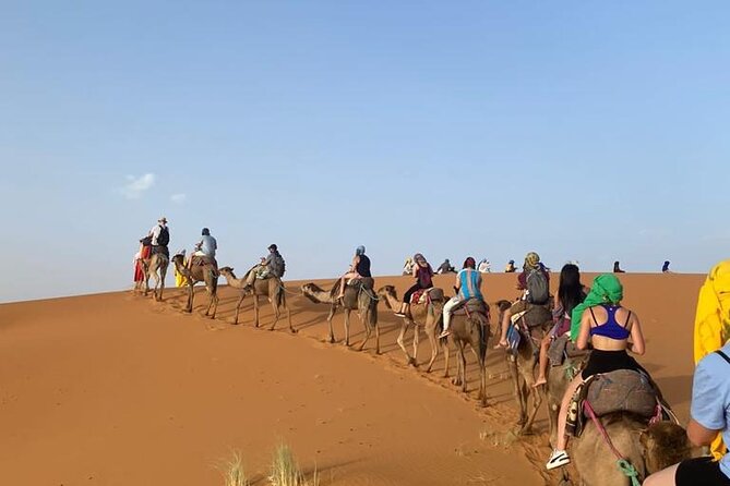 4 Days Desert Tour From Marrakech to Fes via Merzouga Dunes - Day 4: Ziz Valley views, Ifrane cedar forest, then Fez arrival