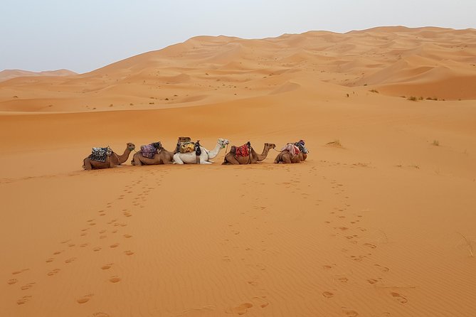 4 Days Desert tours from Marrakech - Key points you’ll feel on this tour