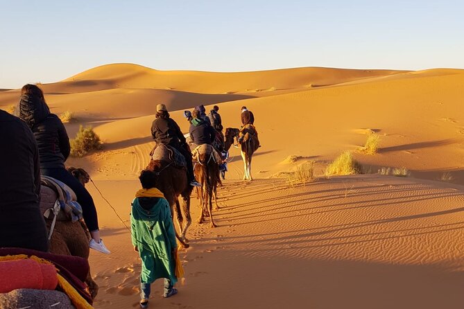 4 Days Desert tours from Marrakech - Day 3: Sunrise in the dunes, Rissani trading history and Draa Valley oases