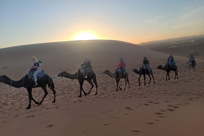 4 Days Desert Tours from Marrakech to Merzouga - Day 2: Drâa Valley adobes to Merzouga and a two-hour camel trek