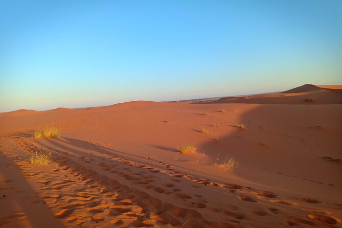 4 Days Desert Tours from Marrakech to Merzouga - Group size, comfort, and the driver/guide factor