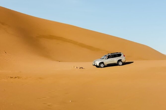 4 Days Desert Tours from Marrakech to Merzouga - Day 3: Sunrise return, shower time, and Todra plus Dades Gorge
