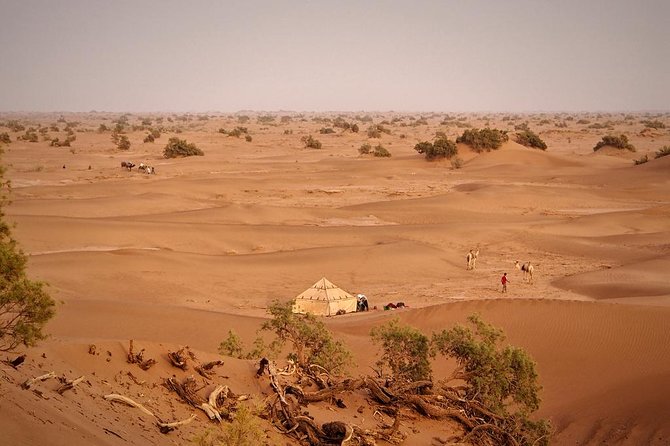 4 Days Hiking To Desert - Day 2 trek: from M’Hamid toward Sidi Naji, with tea and shade