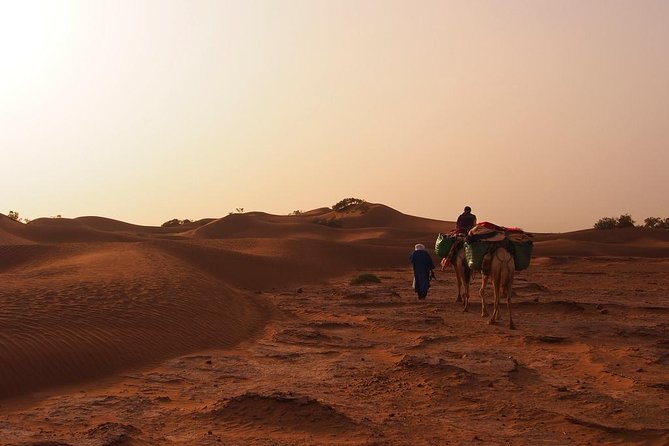 4 Days Hiking To Desert - Guides and pacing: why this trip feels cared for