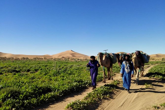 4 Days Hiking To Desert - Price and value: does $506.55 make sense?